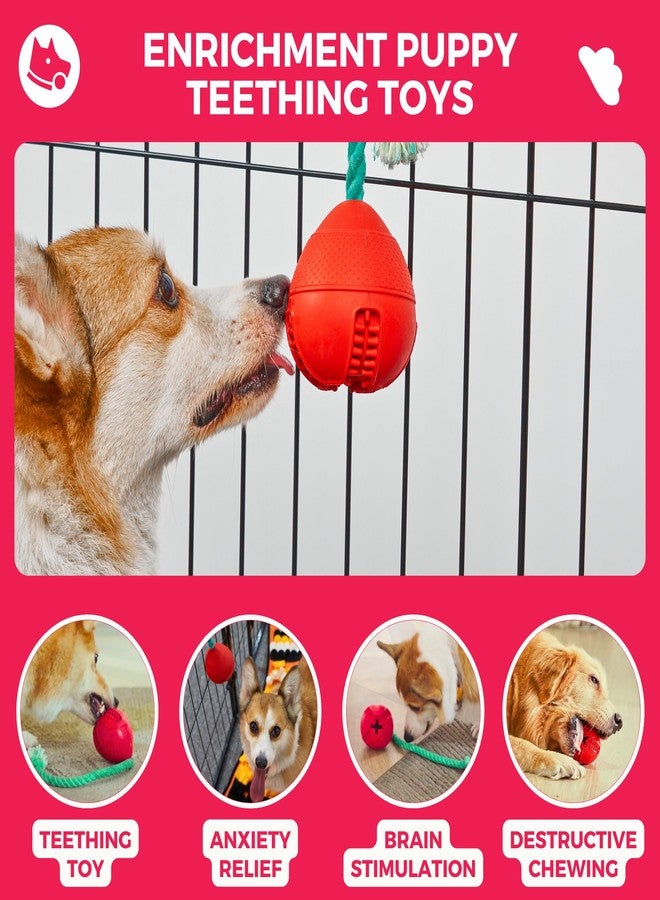 Fossa Interactive Dog Toys, Crate Training Aids for Puppies, Puzzle Treat Dispenser with Rope, Multifunctional Dog Toys - for Reduce Dog Boredom and Anxiety, Dog Teeth Cleaning and Chew Toy - Image 2